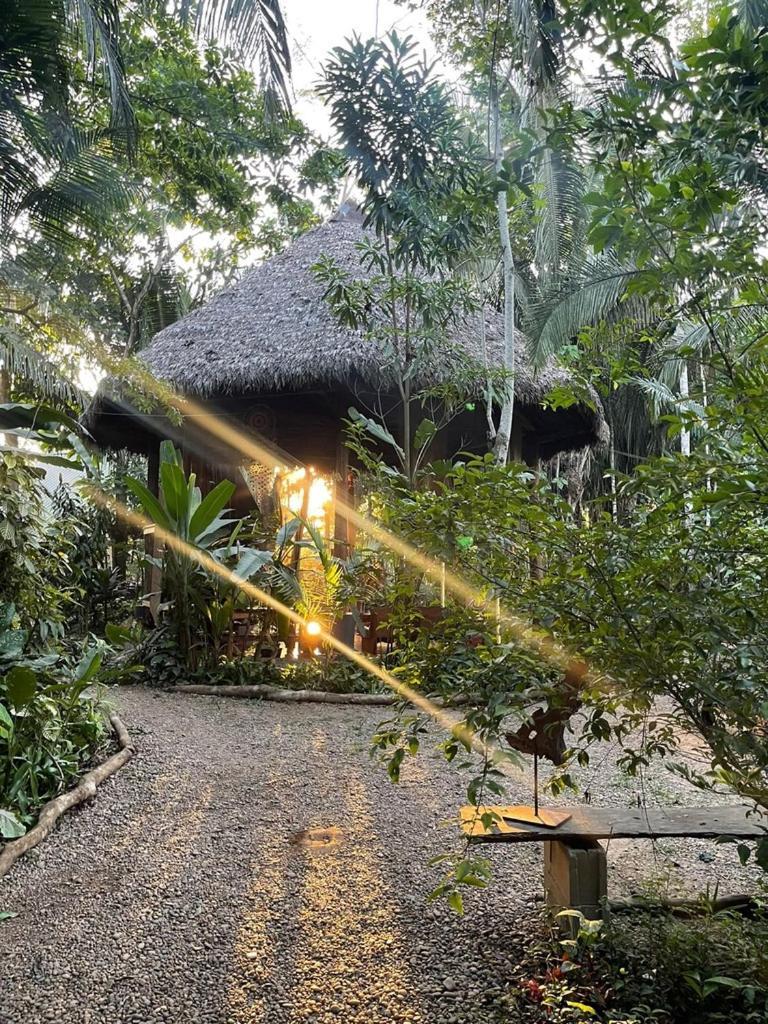 Kapievi Ecovillage Πουέρτο Μαλντονάντο Εξωτερικό φωτογραφία