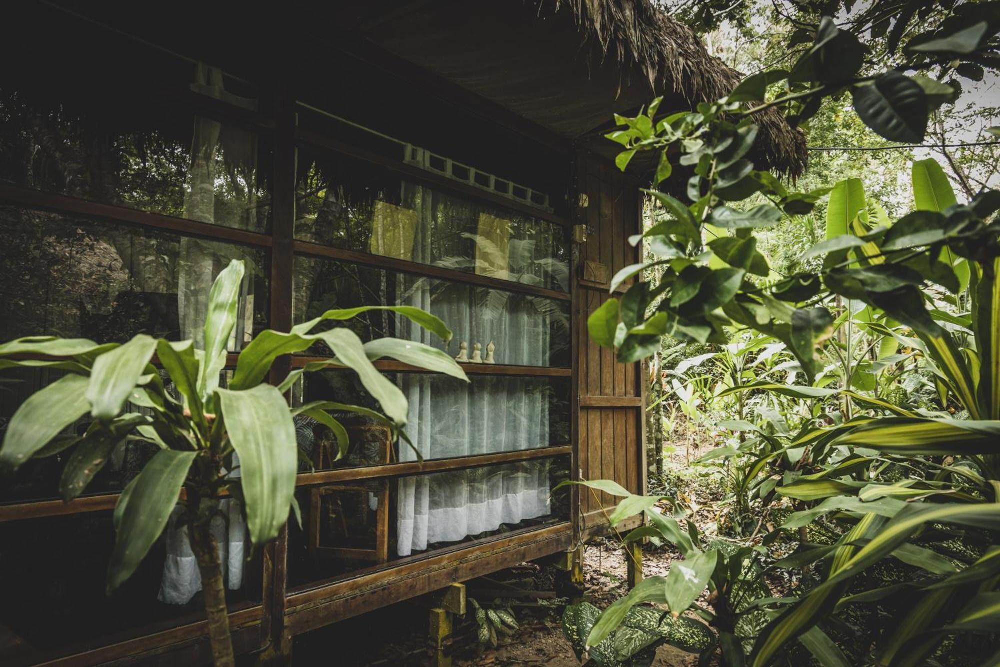 Kapievi Ecovillage Πουέρτο Μαλντονάντο Εξωτερικό φωτογραφία