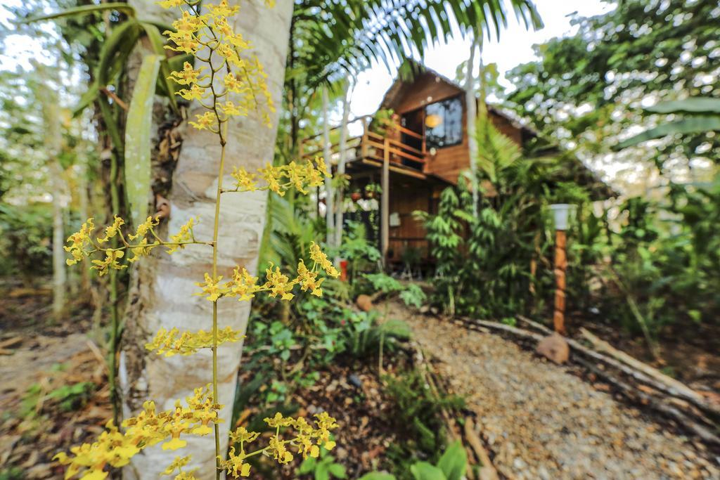 Kapievi Ecovillage Πουέρτο Μαλντονάντο Εξωτερικό φωτογραφία